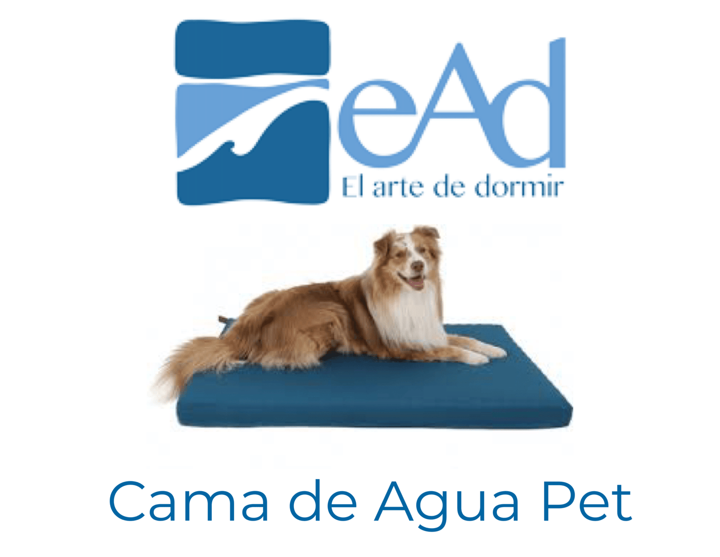 Cama de Agua Pet - EAD - El Arte de Dormir